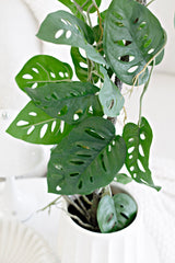 Swiss Cheese Plant – Faux Vining Monstera in Pot 63.5cm