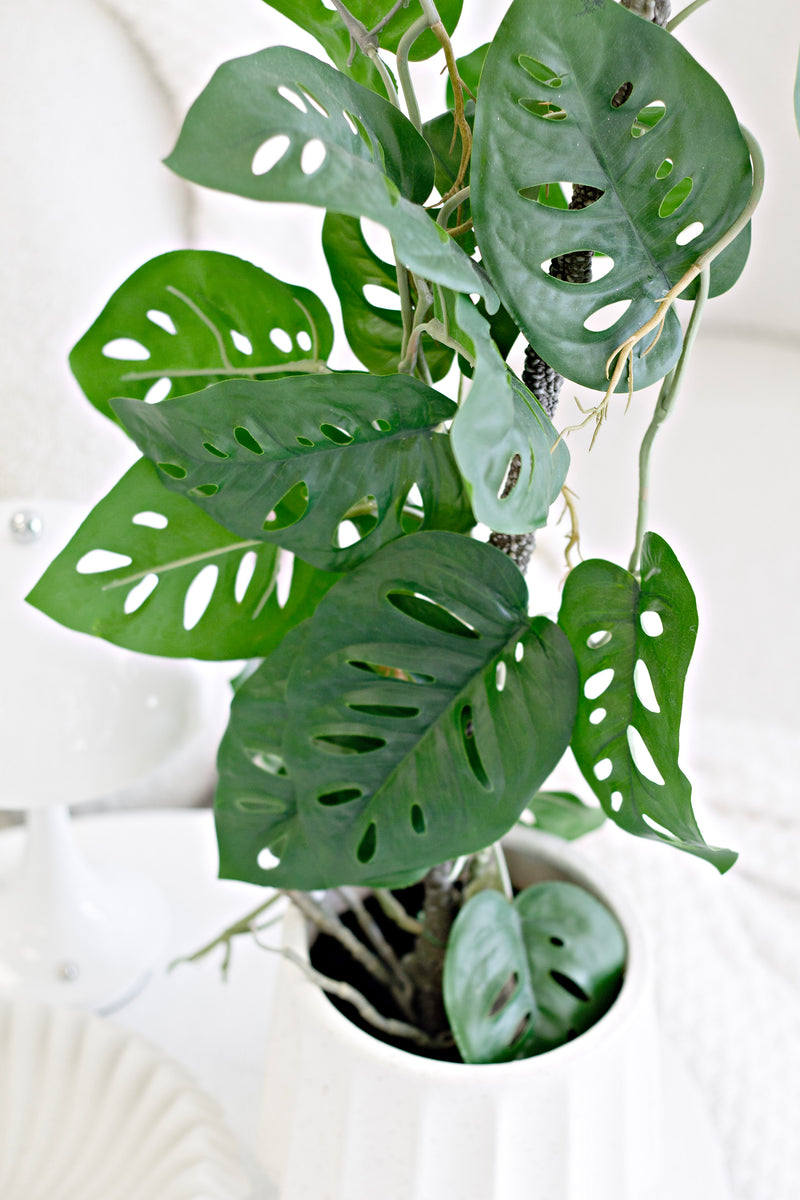 Swiss Cheese Plant – Faux Vining Monstera in Pot 63.5cm
