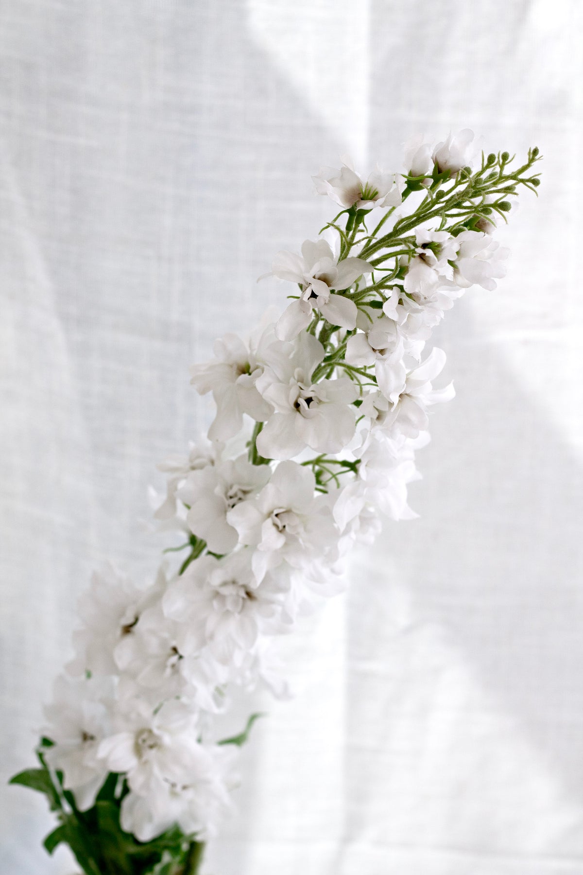 Delphinium Spray, White 109cm Faux Flower