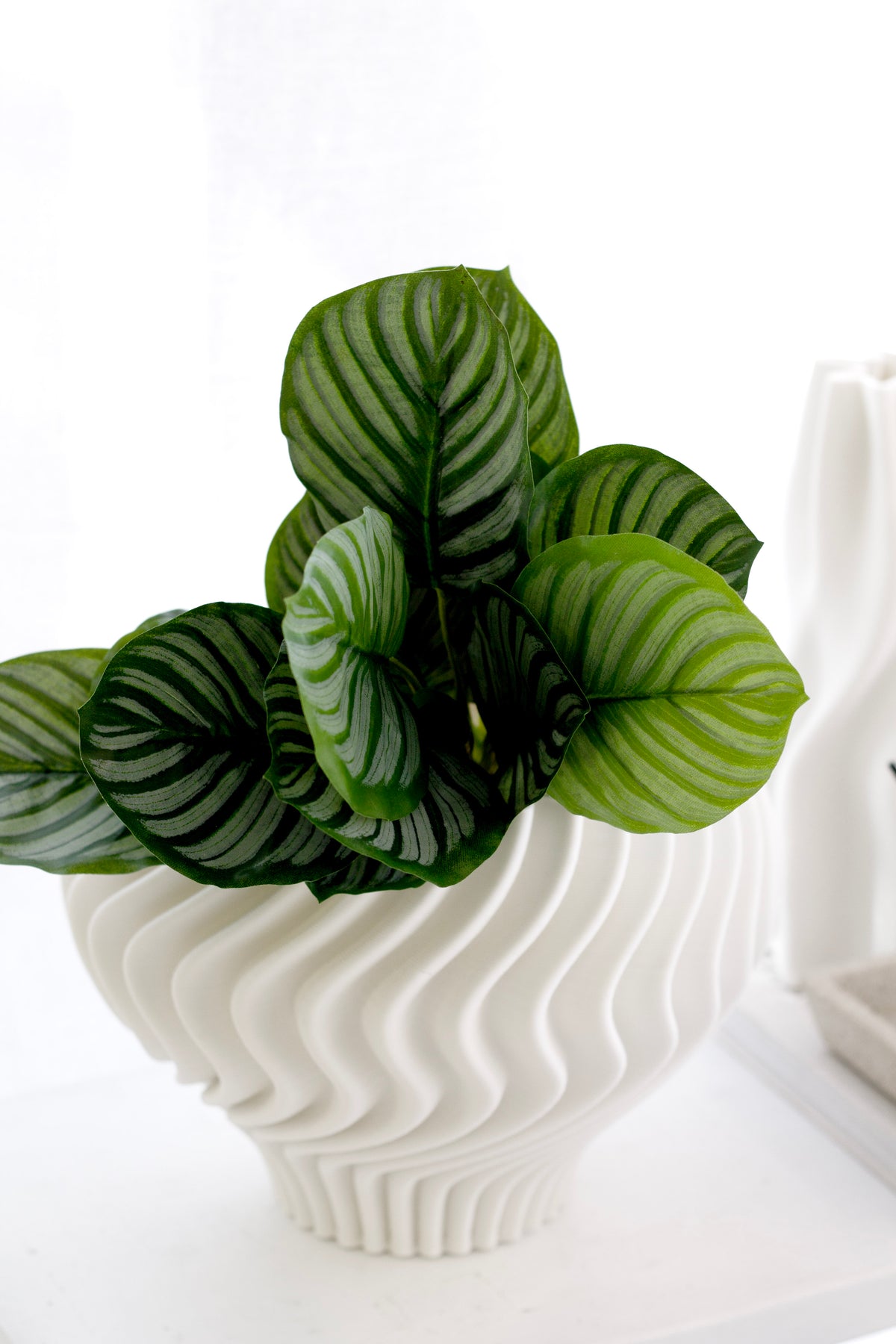 Calathea Orbifolia Leaf Bush, 35cm Faux Foliage Stem