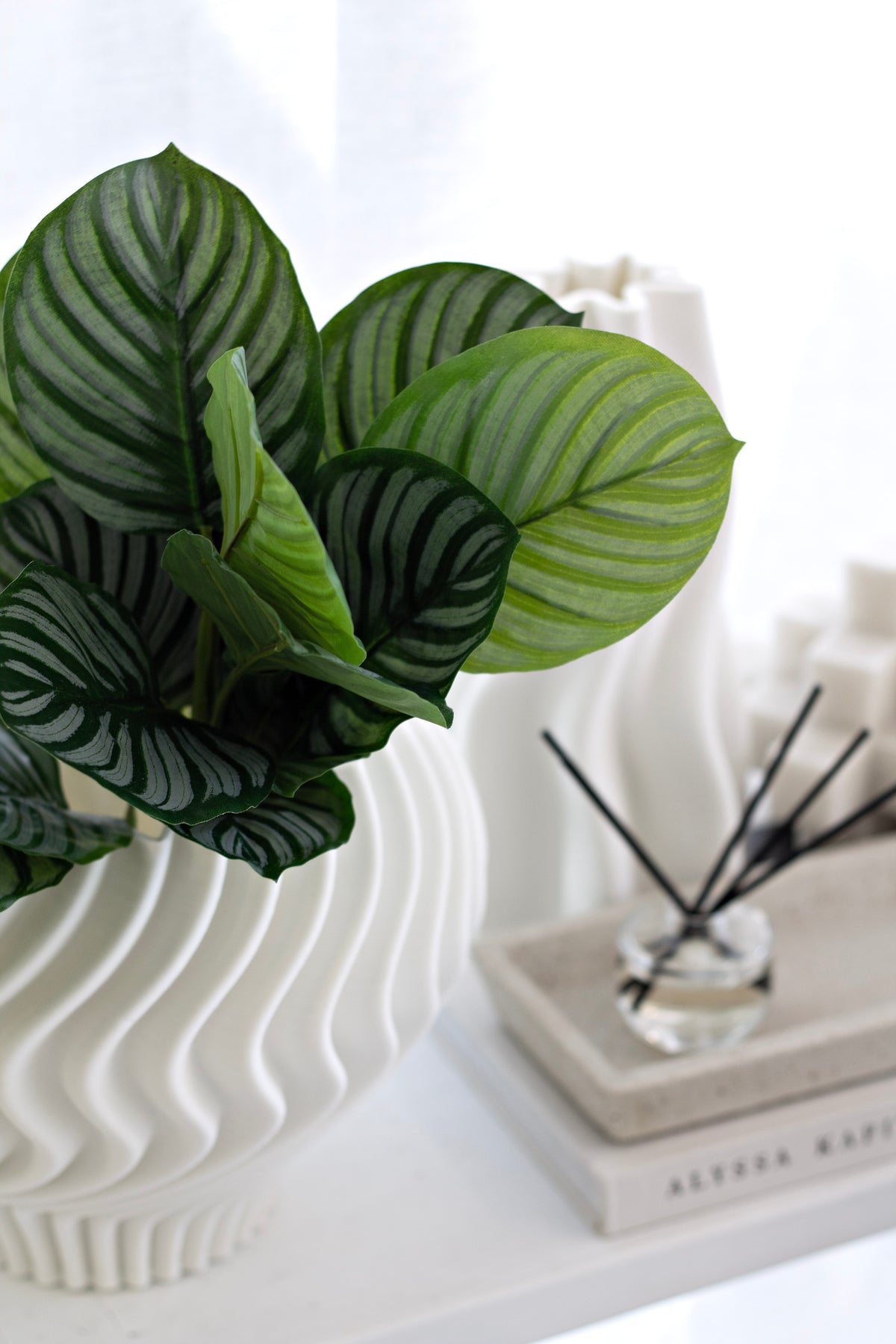 Calathea Orbifolia Leaf Bush, 35cm Faux Foliage Stem