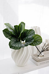 Calathea Orbifolia Leaf Bush – 35cm Faux Foliage Stem