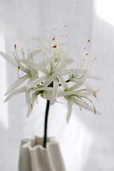 Nerine Spray White 72cm – Artificial Flower Stem