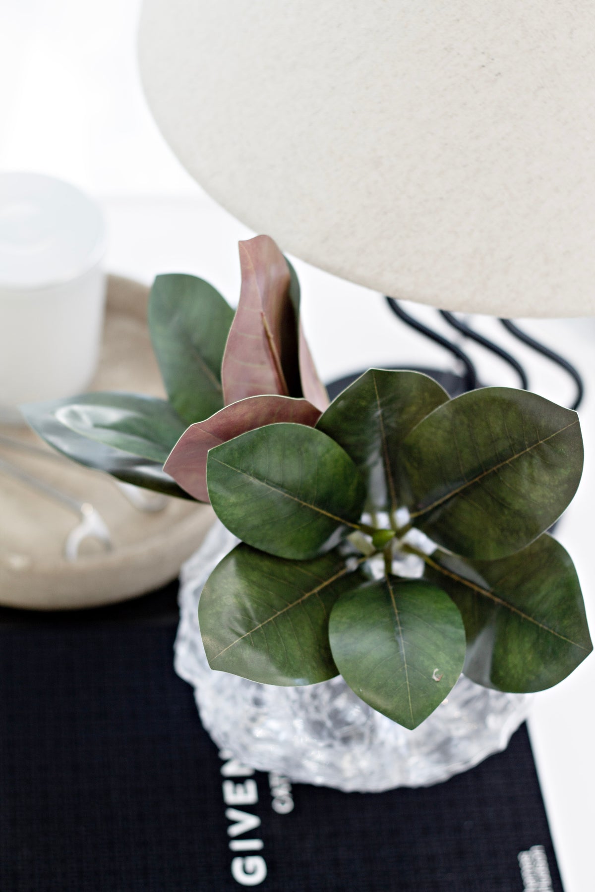 Sweetbay magnolia leaves in a crystal glass vase on a black book