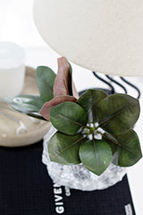 Sweetbay Magnolia Leaves | 27cm Faux Stem with Deep Green Foliage and Rich Copper Underside