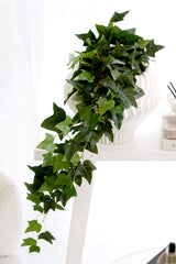 English Ivy Bush – Realistic Faux Trailing Plant 89cm