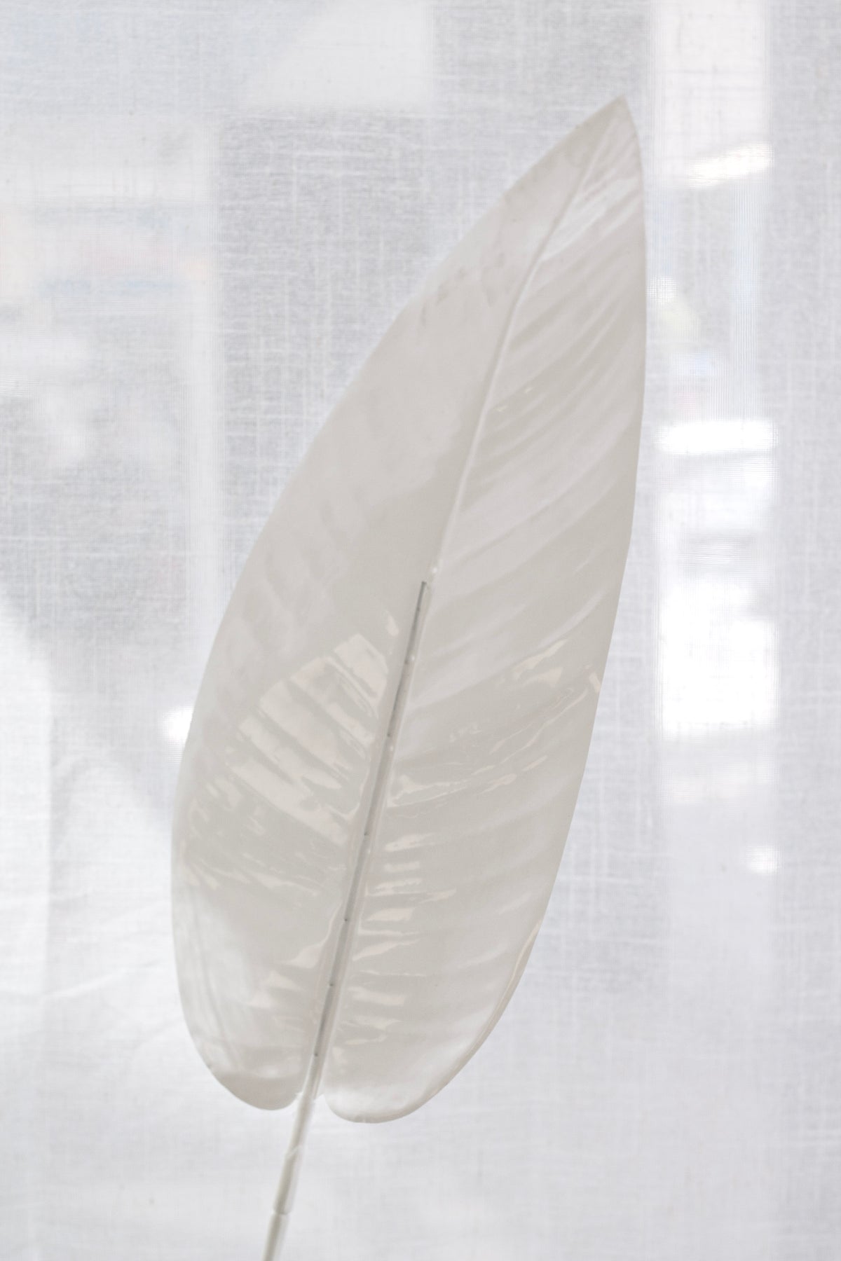 White Canna Leaf Stem, 97cm Faux Botanical