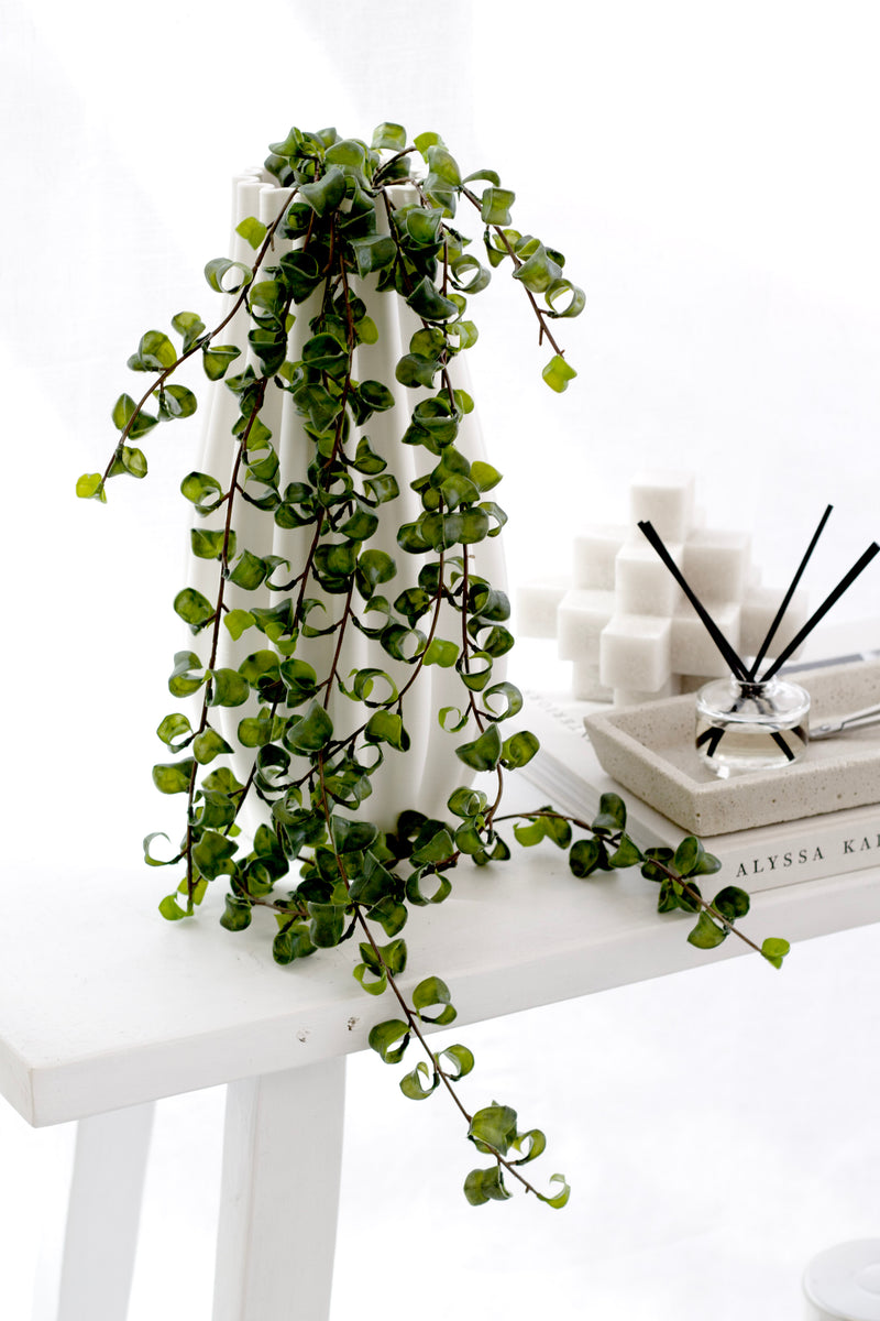 Hanging Shell Plant – 90cm Real Touch Artificial Trailing Vine