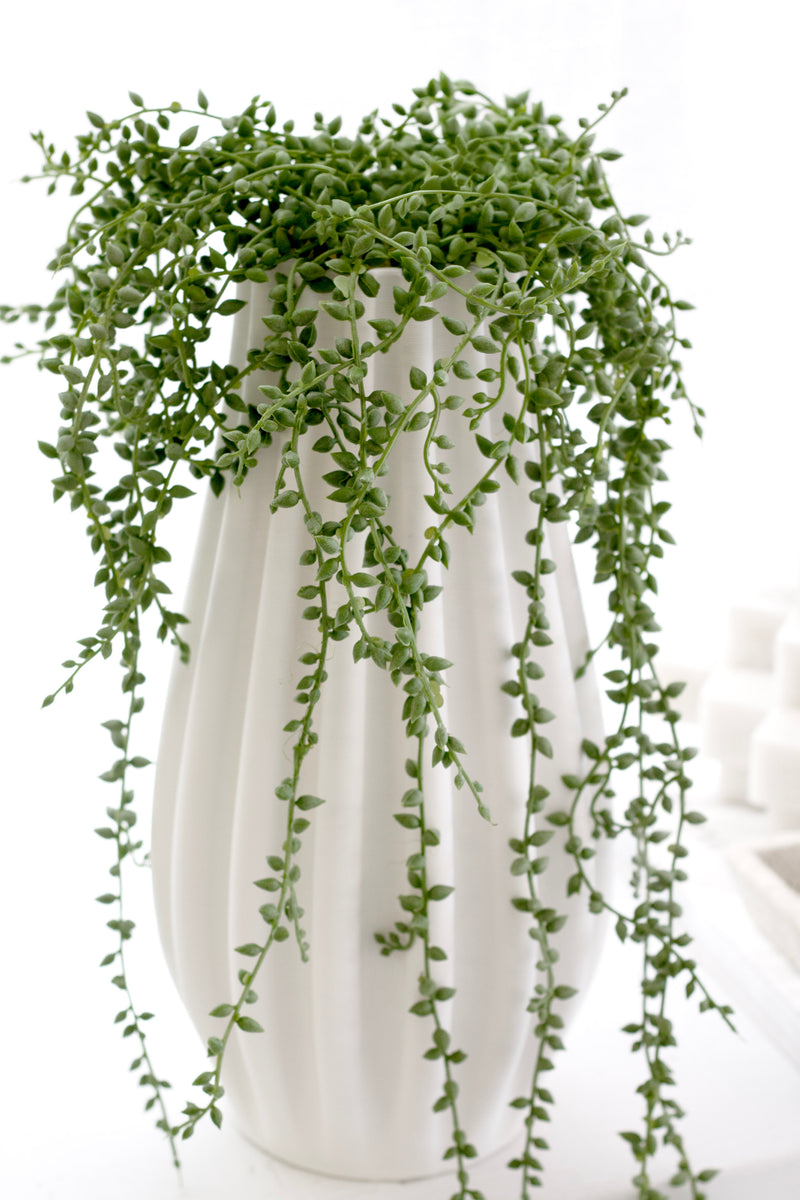 String of Pearls on Hanger – 66cm Faux Hanging Succulent