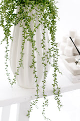 String of Pearls on Hanger – 66cm Faux Hanging Succulent