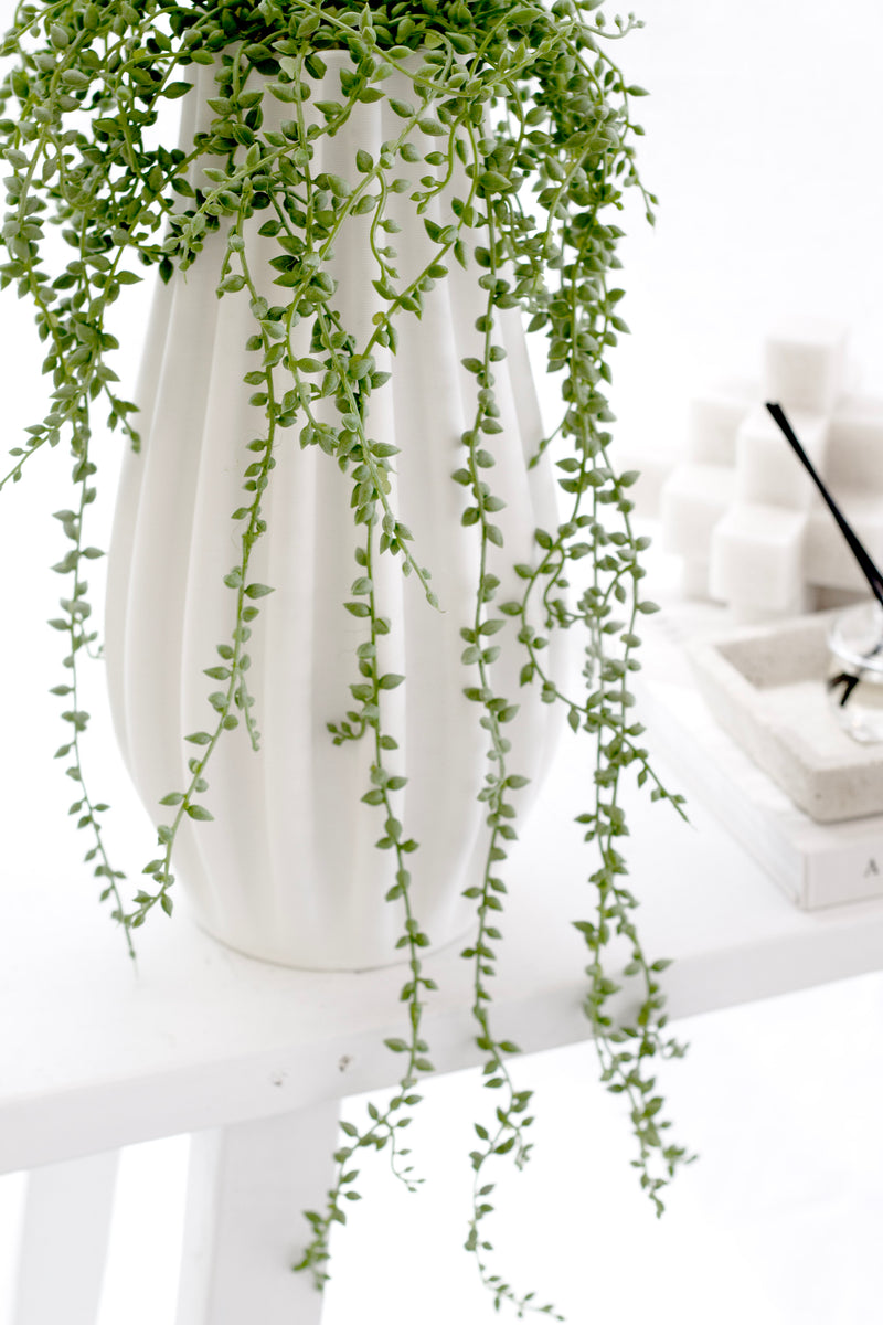 String of Pearls on Hanger – 66cm Faux Hanging Succulent