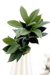 Shikiba Spray Small – Faux Greenery Stem 60cm