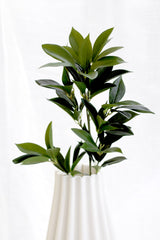 Shikiba Spray Small – Faux Greenery Stem 60cm