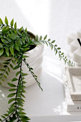 Milan Sculptural Planter – Sandstorm Ceramic Pot in 3 Sizes
