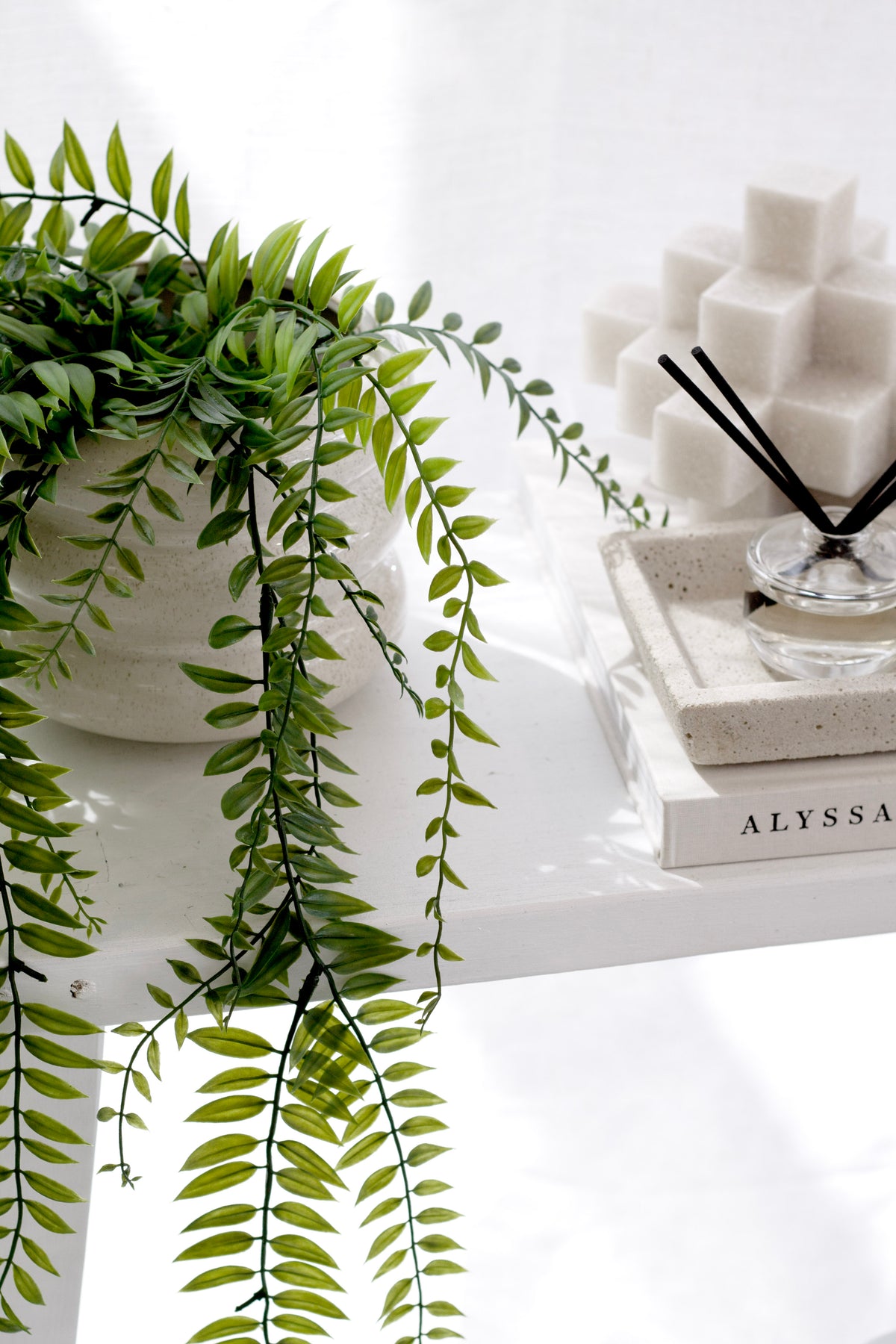 Sword fern in a ribbed white pot on a bright ledge beside stacked books and a black desk clock