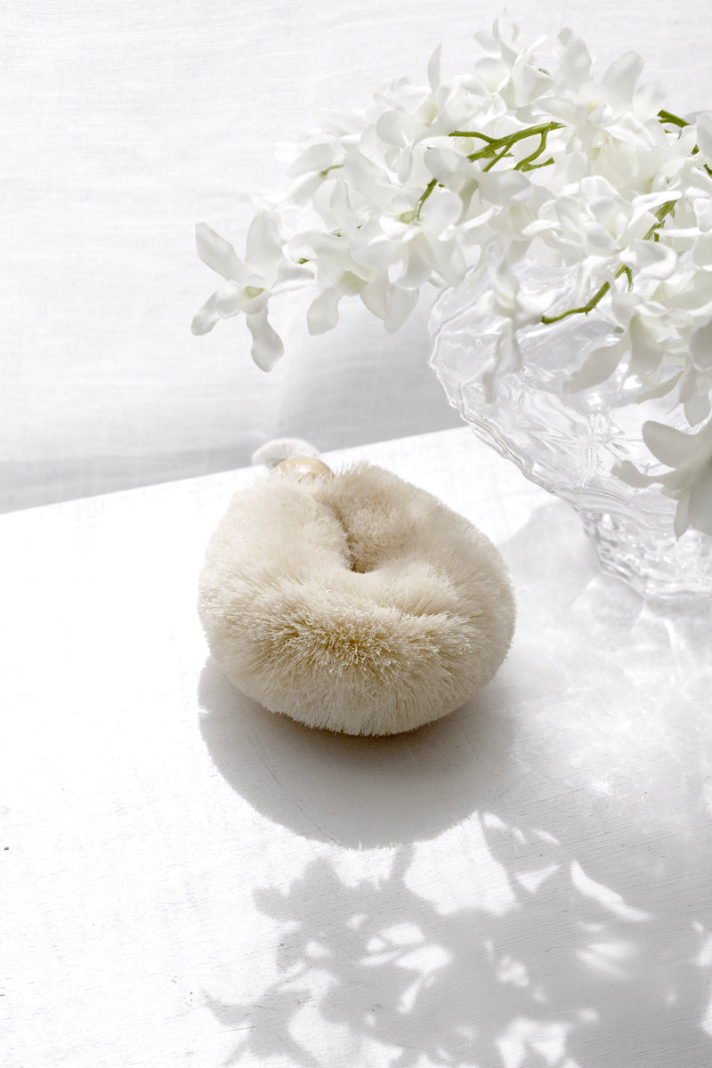 Palm Body Brush – Natural Sisal | Biodegradable, Vegan & Fair Trade