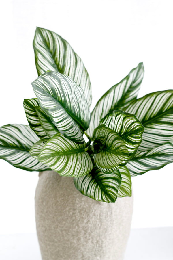 Calathea Whitestar Leaf Bush – 40cm Faux Tropical Greenery