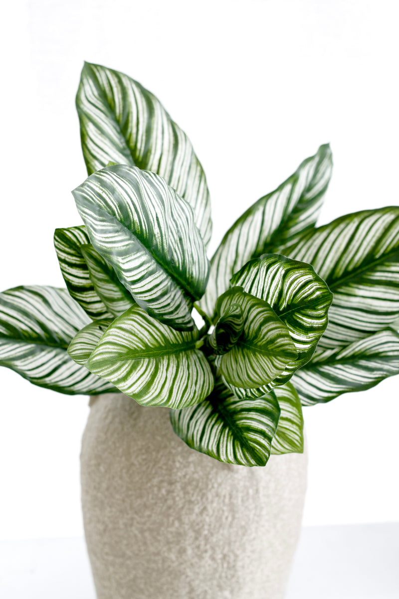 Calathea Whitestar Leaf Bush – 40cm Faux Tropical Greenery