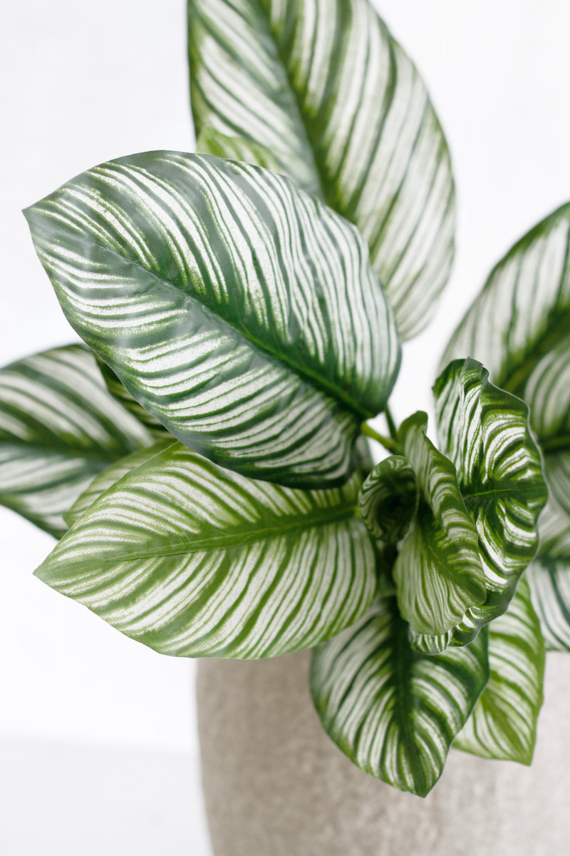 Calathea Whitestar Leaf Bush – 40cm Faux Tropical Greenery