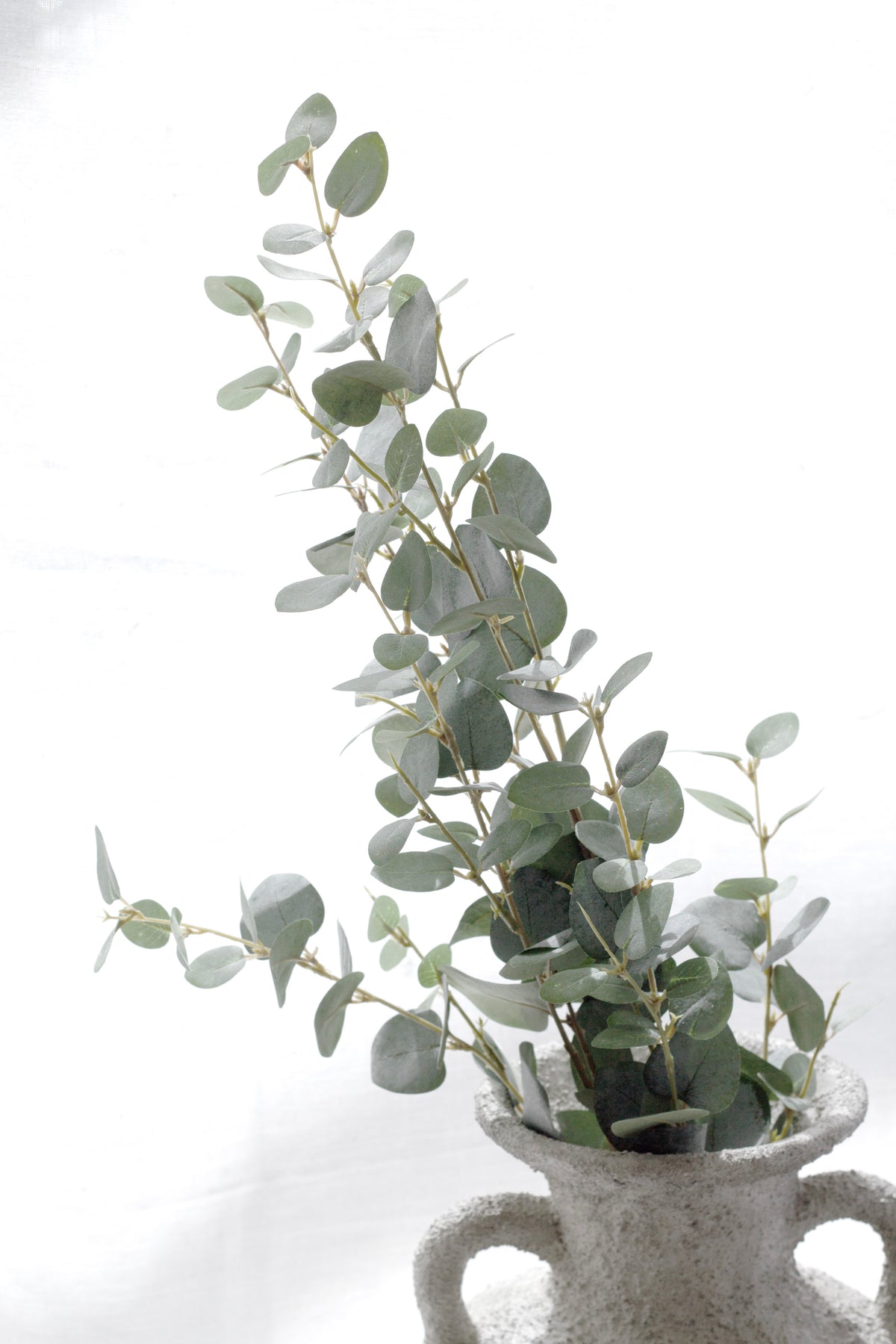 Faux eucalyptus stems arranged in a pale textured handled vase