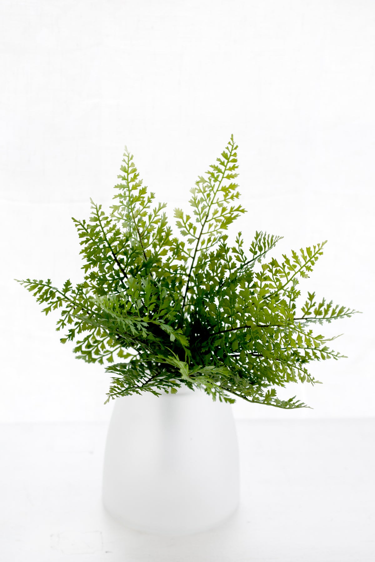 Hen & Chicken Fern Bush, 33cm Realistic Faux Greenery