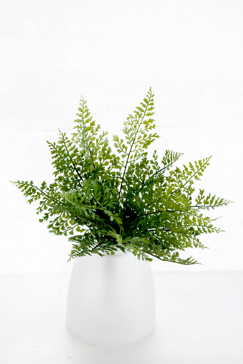 Hen & Chicken Fern Bush – 33cm Realistic Artificial Greenery