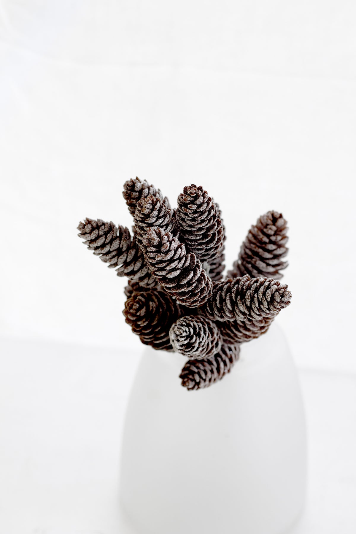Frosted faux pinecone stems in a white vase
