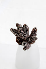 Frosted Pinecones Bundle x3 – 33cm Winter Decor & Craft Stems