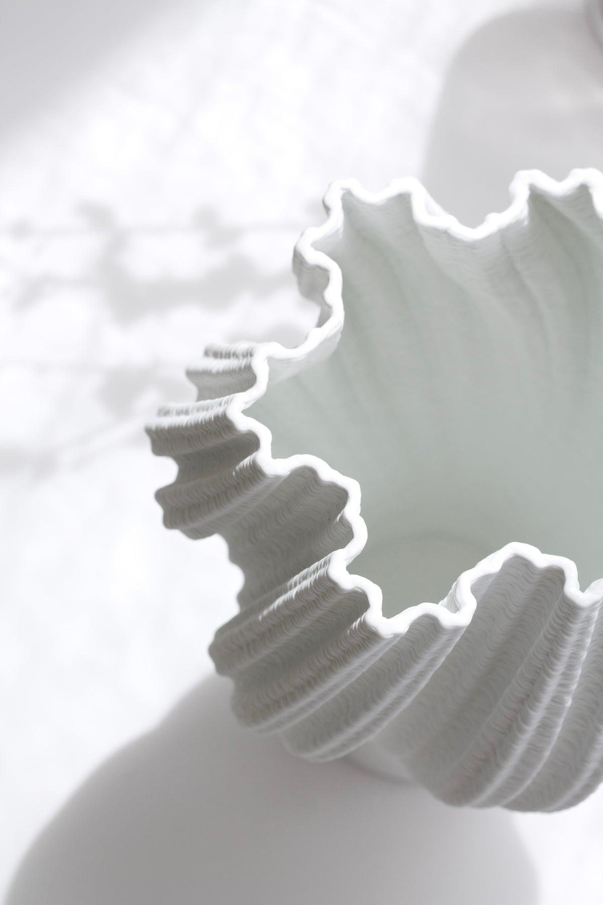 Very close on the ruffled rim, showing the fine printed layers along each fold