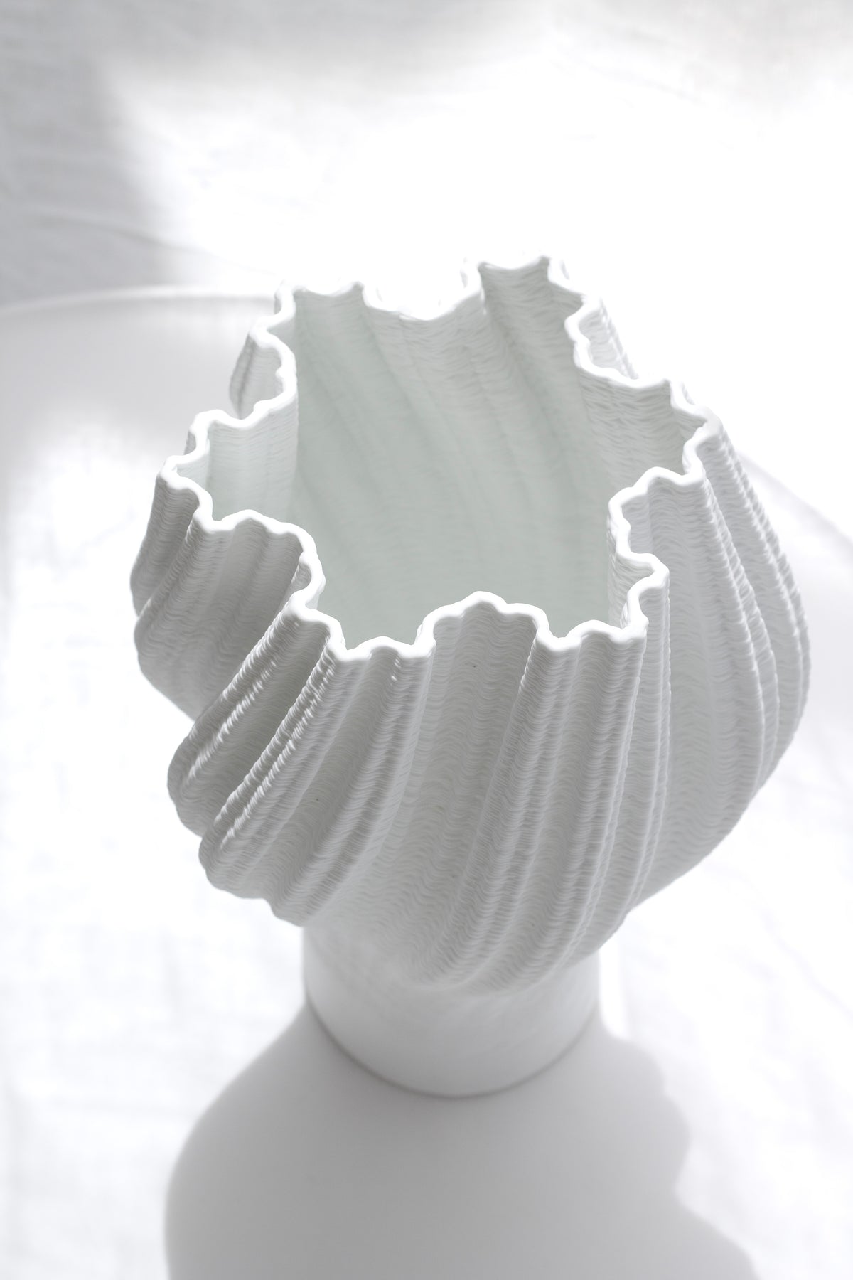 Looking down into the pleated vase, the star shaped opening framed by fluted edges