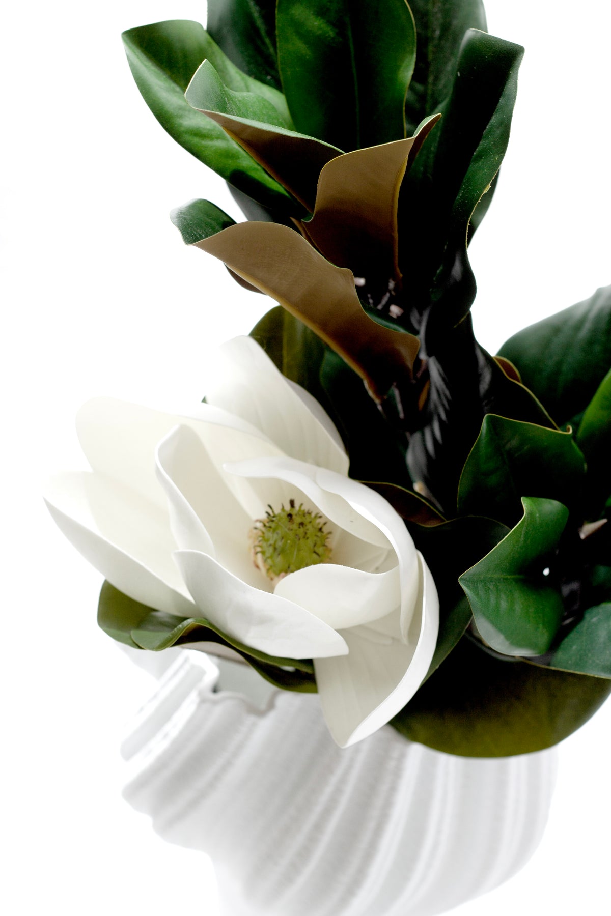 Faux magnolia leaves with a white magnolia bloom in a white sculpted vase