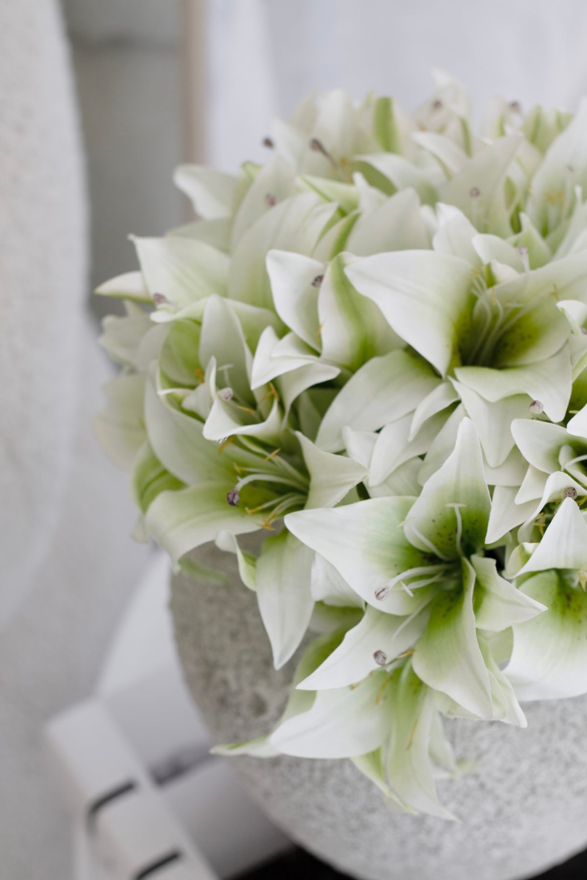 Close view of cream lilies filling a speckled stone vase