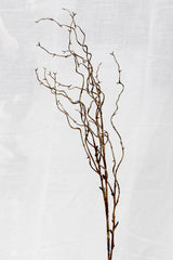 Willow Branch Brown Faux Stem 1m