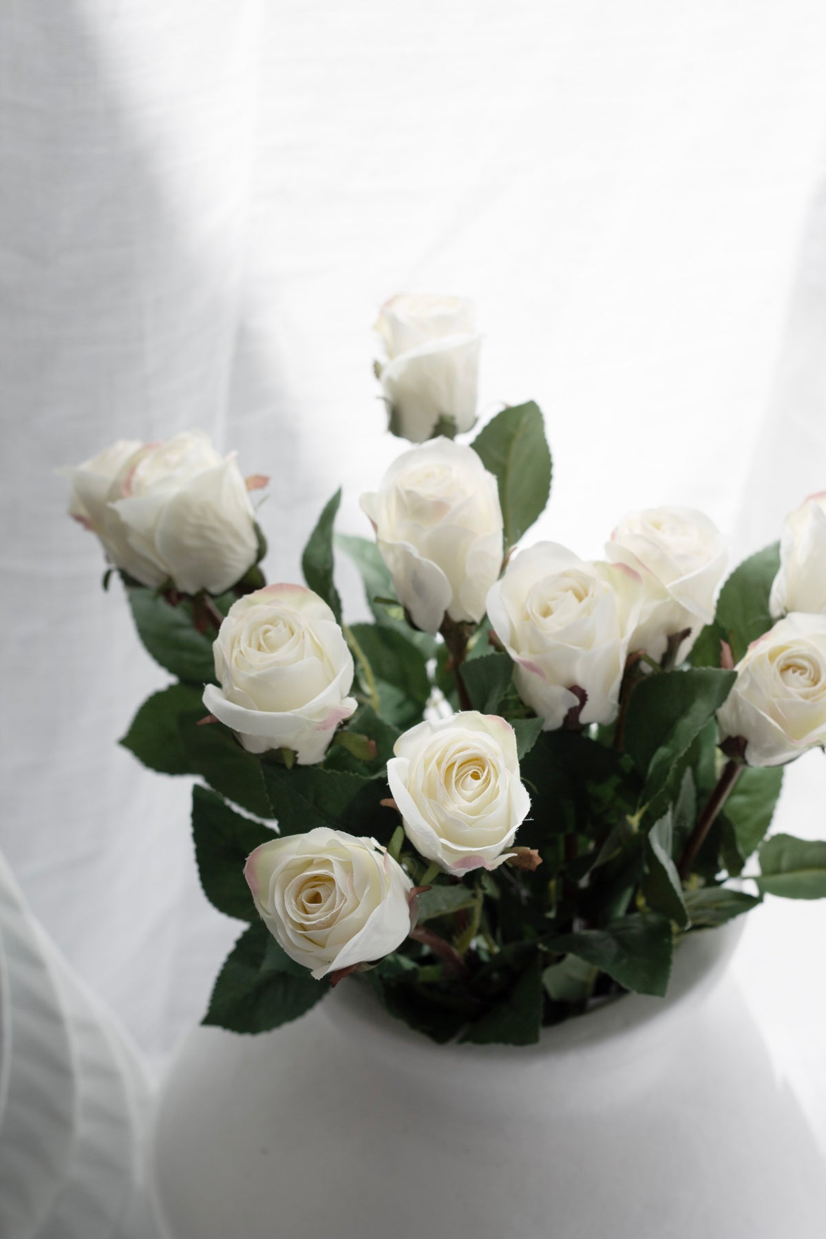 White Asher rose buds massed in a fluted white vase against a sheer curtain