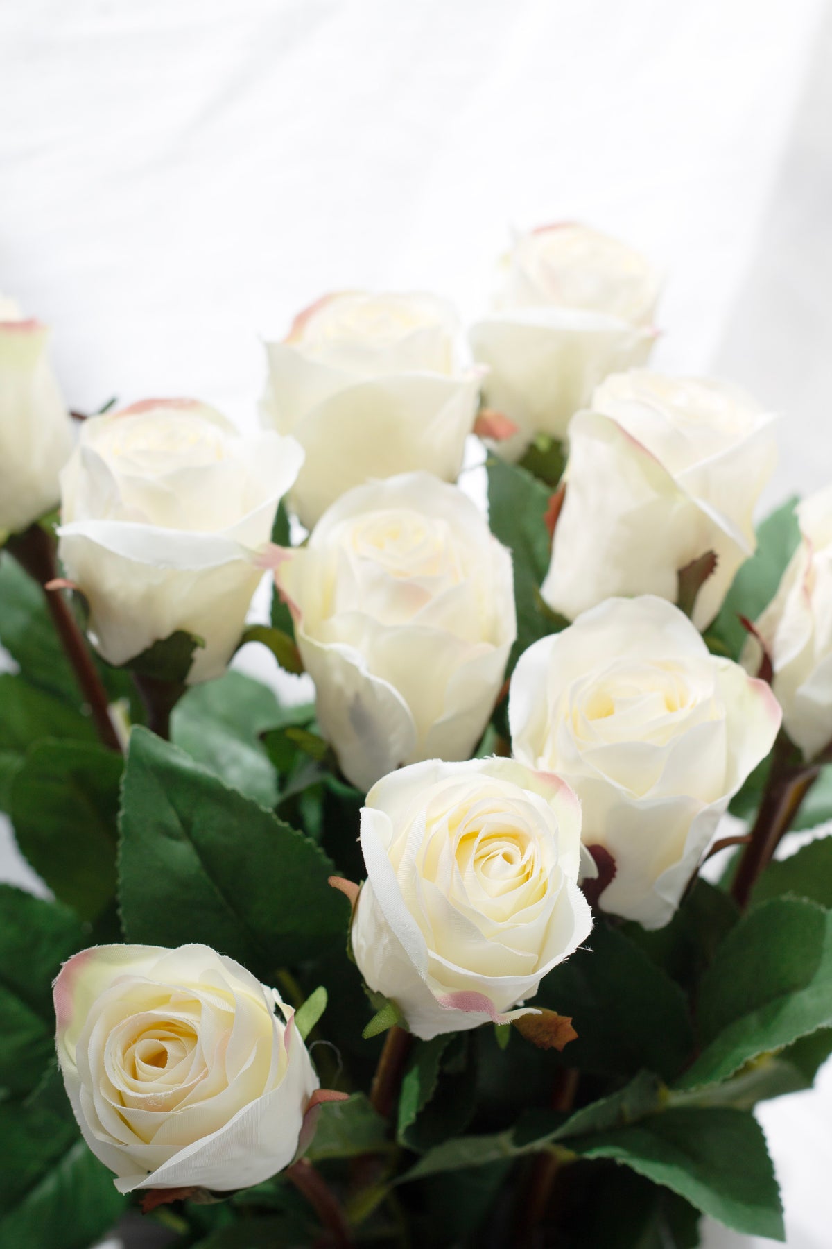 Cluster of white Asher rose buds and green leaves arranged in a vase