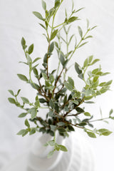 Italian Ruscus Spray 84cm | Faux Foliage Stem