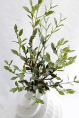 Italian Ruscus Spray 84cm | Faux Foliage Stem