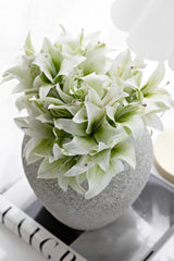 Lily Bundle Cream/Green – Artificial Lily Stems (28cm)