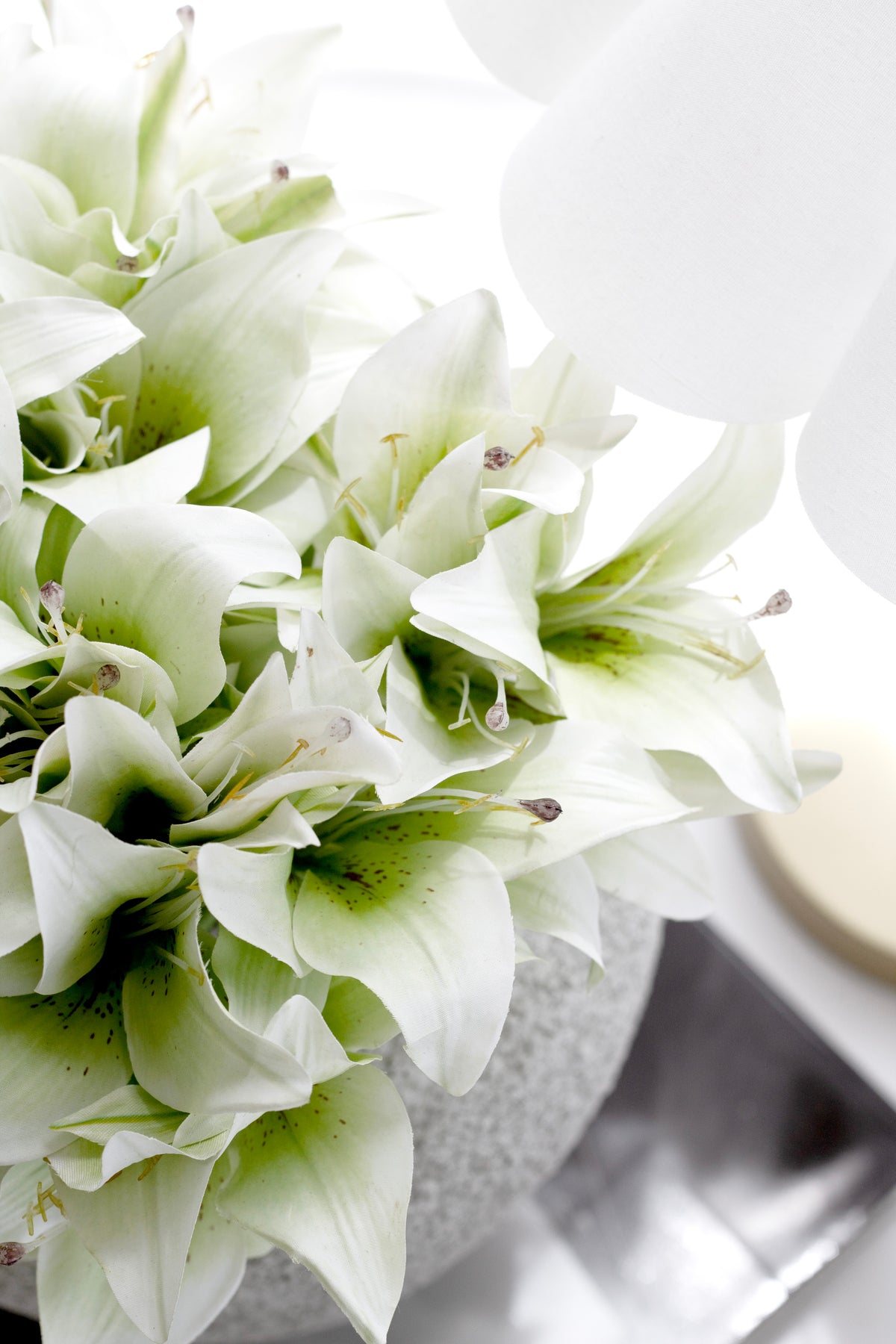 Close cluster of cream lilies with green centres and pale stamens