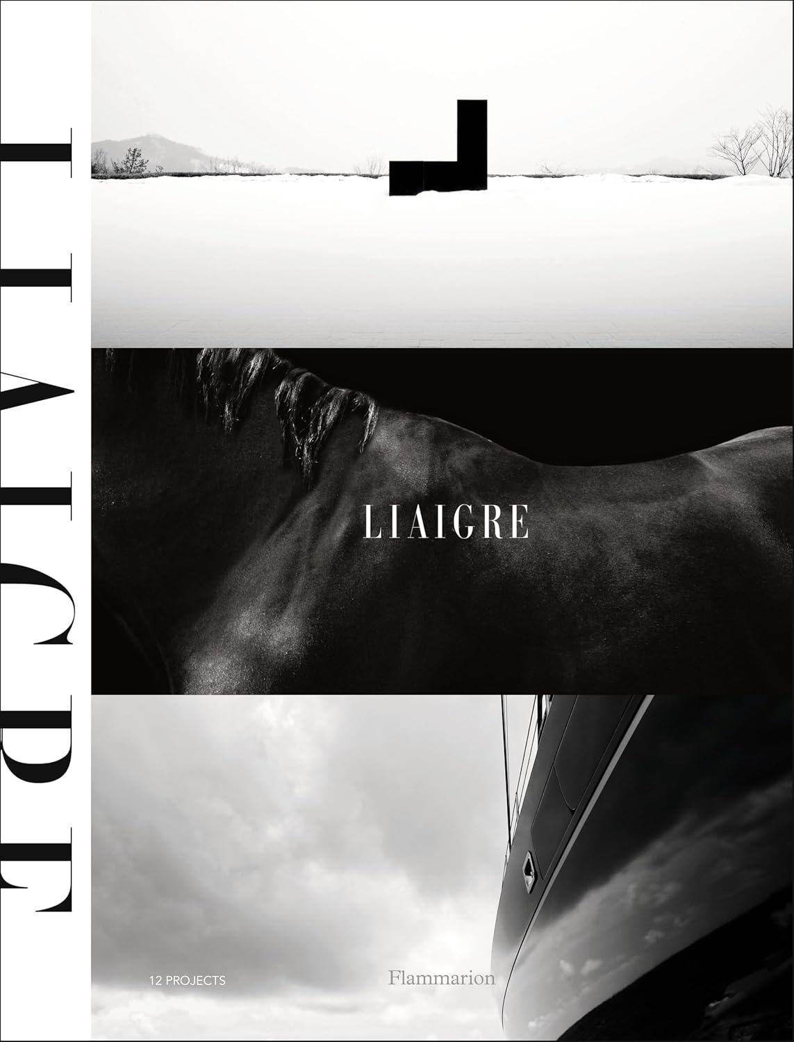 Liaigre 12 Projects front cover
