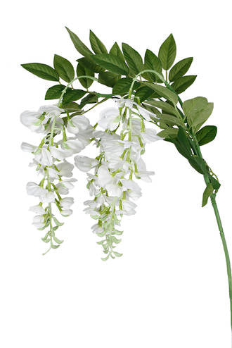 An Artificial Flora White Wisteria Spray with green leaves on an artificial branch.