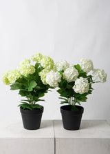 Snowball Potted Plant Off White / Green 40cm | Faux Floral