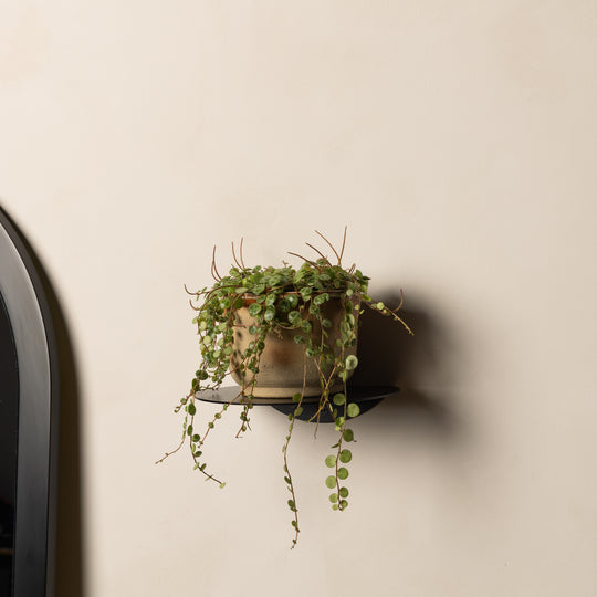 FOLD Round Shelves styled with candles by Made of Tomorrow