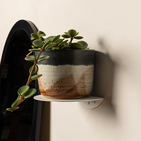 Close-up of a white FOLD Round Shelf holding a potted plant with trailing stems