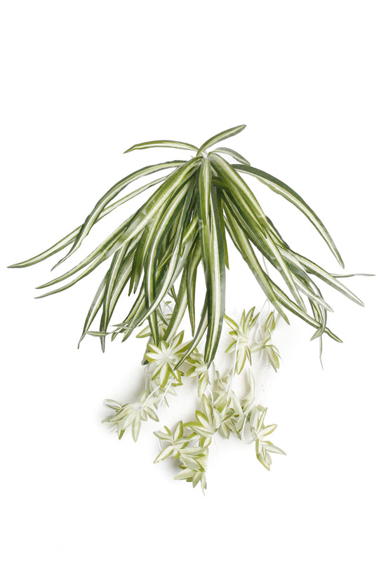 Spider Plant, 64cm Realistic Faux Greenery