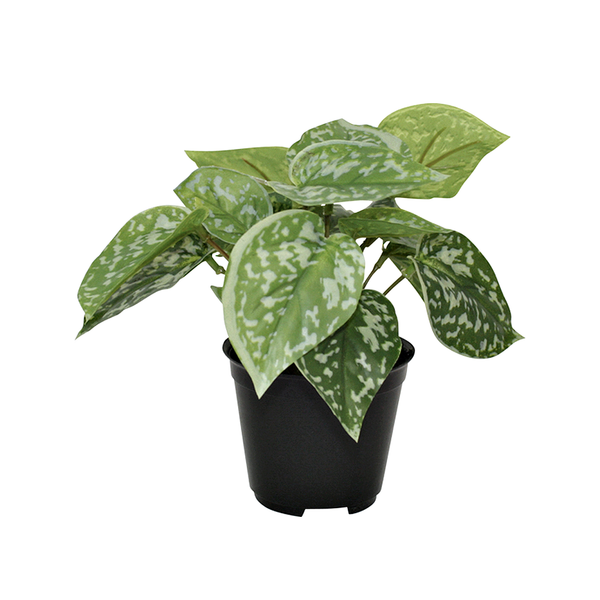 An Artificial Flora Scindapsus Pictus Potted 18cm plant with green leaves in a pot on a white background.
