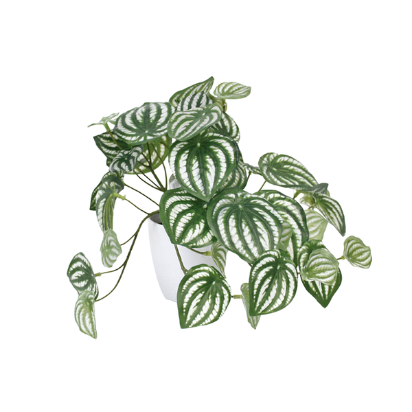 An Artificial Flora Watermelon Peperomia Potted 24cm plant in a white pot.