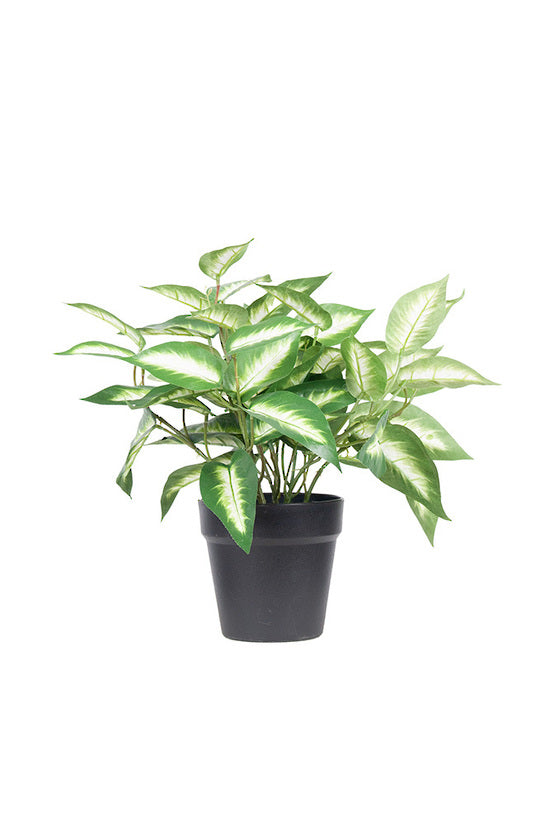 Artificial Dieffenbachia picta plant with variegated green leaves in a black pot