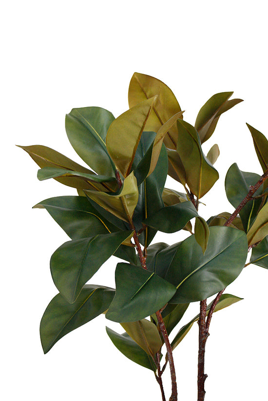 Magnolia Tree, Potted 1.5m Faux Plant
