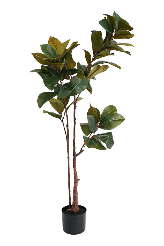 Magnolia Tree, Potted 1.5m Faux Plant
